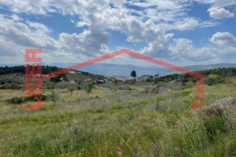 Terra a Vila Flor, Braganca, Vila Flor - € 50.000 | Ref: 0972 - foto 5