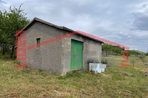 Terra a Vila Flor, Braganca, Vila Flor - € 50.000 | Ref: 0972 - foto 6
