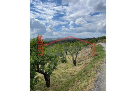 Terra a Vila Flor, Braganca, Vila Flor - € 50.000 | Ref: 0972 - foto 7