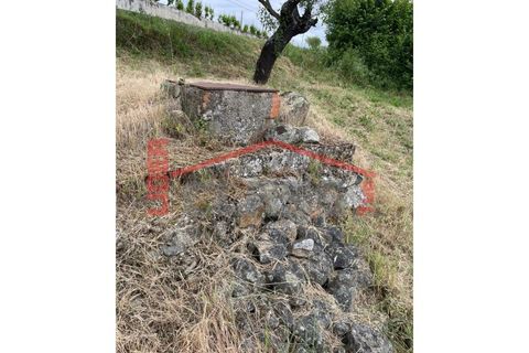 Terra a Vila Flor, Braganca, Vila Flor - € 50.000 | Ref: 0972 - foto 8