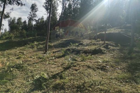 Helårsgrund i Amares, Braga, Amares - € 13.500 | Ref: 1074-137 - foto 2