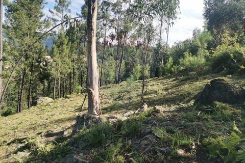 Helårsgrund i Amares, Braga, Amares - € 13.500 | Ref: 1074-137 - foto 5