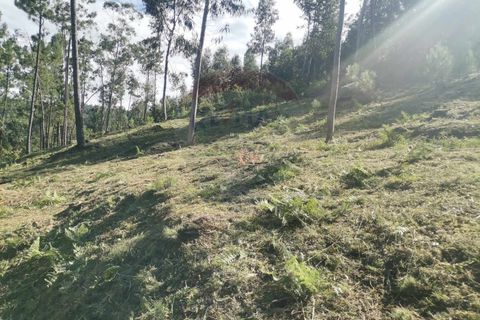 Helårsgrund i Amares, Braga, Amares - € 13.500 | Ref: 1074-137 - foto 6