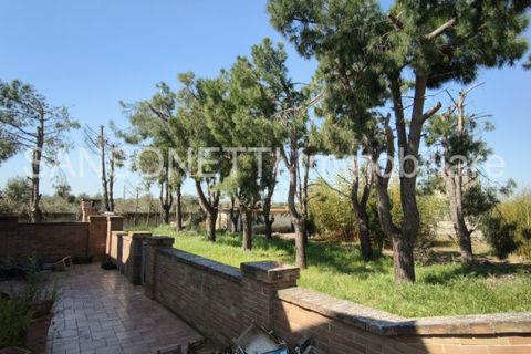 Villa i Manduria, Taranto, Manduria - € 690.000 | Ref: MANDU - foto 20