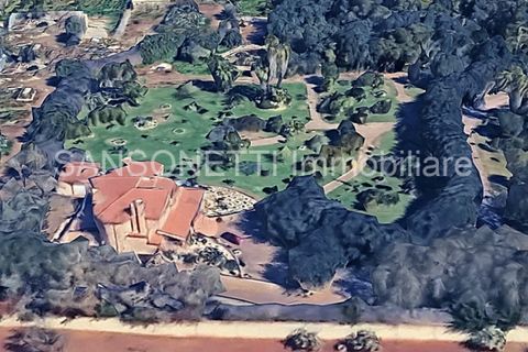 Villa i Manduria, Taranto, Manduria - € 690.000 | Ref: MANDU - foto 30