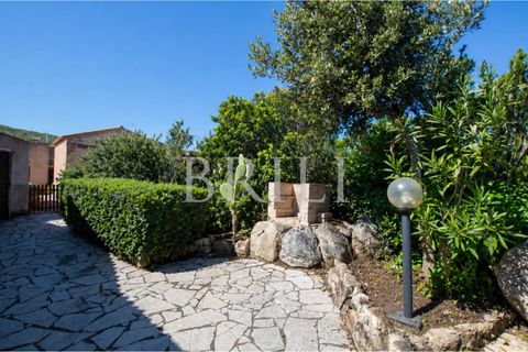Lejlighed i Palau, Sassari, Palau - € 255.000 | Ref: OT-001LF - foto 8