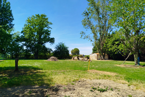Villa i Massugas, Gironde, Massugas - € 154.400 | Ref: 36178 - foto 23