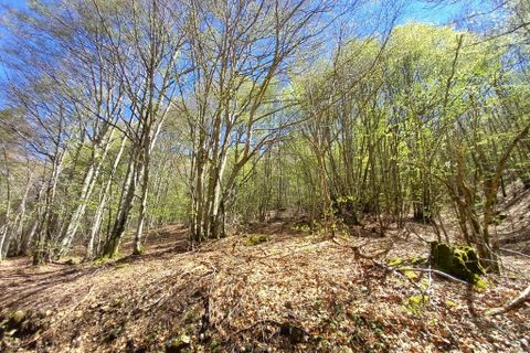 Terra a Vieussan, Herault, Vieussan - € 20.000 | Ref: 36180 - foto 10