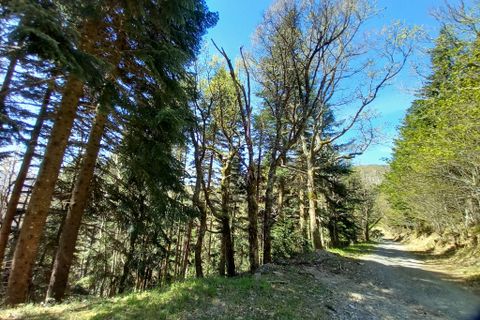 Terra a Vieussan, Herault, Vieussan - € 50.000 | Ref: 36182 - foto 2