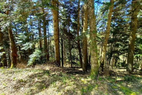 Terra a Vieussan, Herault, Vieussan - € 50.000 | Ref: 36182 - foto 5