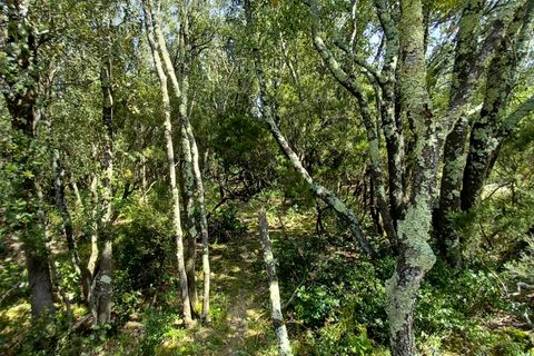 Terra a Vieussan, Herault, Vieussan - € 50.000 | Ref: 36182 - foto 6