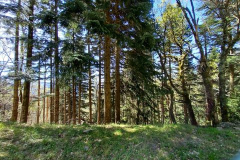 Terra a Vieussan, Herault, Vieussan - € 50.000 | Ref: 36182 - foto 8