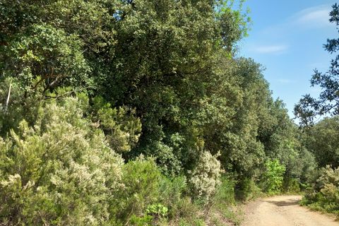 Terra a Vieussan, Herault, Vieussan - € 50.000 | Ref: 36182 - foto 10