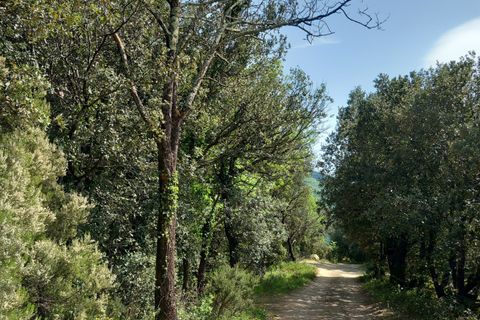 Terra a Vieussan, Herault, Vieussan - € 50.000 | Ref: 36182 - foto 11