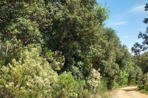 Terra a Vieussan, Herault, Vieussan - € 50.000 | Ref: 36182 - foto 12