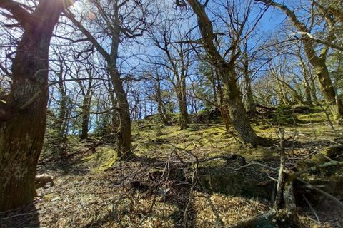 Terra a Vieussan, Herault, Vieussan - € 50.000 | Ref: 36182 - foto 14