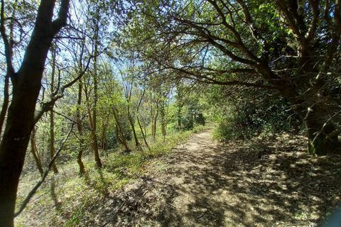 Terra a Vieussan, Herault, Vieussan - € 50.000 | Ref: 36182 - foto 16