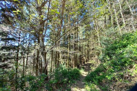 Terra a Vieussan, Herault, Vieussan - € 50.000 | Ref: 36182 - foto 17