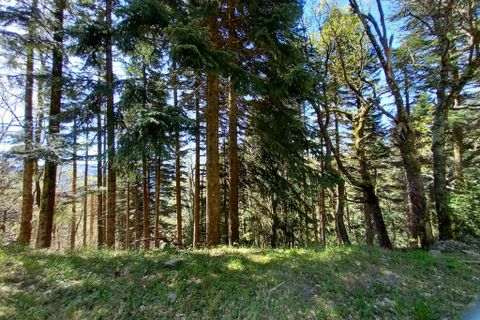 Terra a Vieussan, Herault, Vieussan - € 50.000 | Ref: 36182 - foto 18
