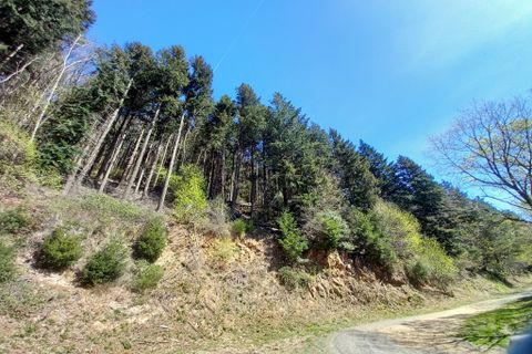 Terra a Vieussan, Herault, Vieussan - € 50.000 | Ref: 36182 - foto 20