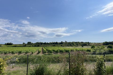 Villa i Pezenas, Herault, Pezenas - € 325.000 | Ref: 36209 - foto 2