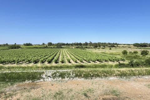 Villa i Pezenas, Herault, Pezenas - € 325.000 | Ref: 36209 - foto 17