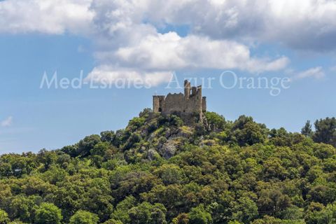 Villa i Grimaud, Var, Grimaud - € 3.490.000 | Ref: 86962293 - foto 19