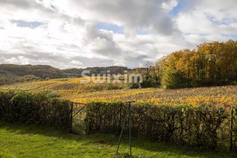 Landejendom i Givry, Saone-et-Loire, Givry - € 680.000 | Ref: 70653AH - foto 12