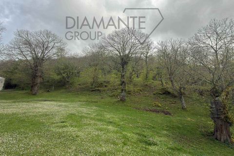 Farm hus i Arcidosso, Grosseto, Arcidosso - € 1.490.000 | Ref: AZ408 - foto 5