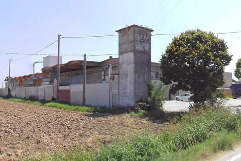 Erhvervsejendom i Forli, Forli-Cesena, Forli - € 1.200.000 | Ref: 2639195 - foto 3