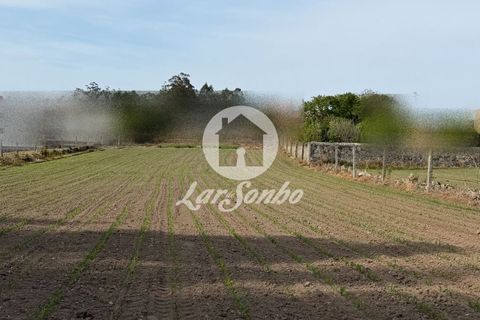 Rækkehus i Vila do Conde, Porto, Vila do Conde - € 376.000 | Ref: 240-M-26246 - foto 14