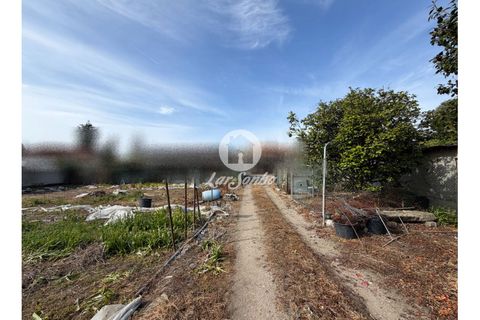 Rækkehus i Vila do Conde, Porto, Vila do Conde - € 376.000 | Ref: 240-M-26246 - foto 19