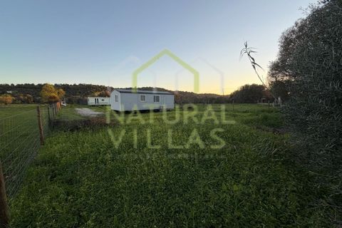 Helårsgrund i Paderne, Faro, Paderne - € 247.000 | Ref: TER_3006_VEND - foto 6