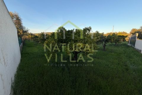 Helårsgrund i Paderne, Faro, Paderne - € 247.000 | Ref: TER_3006_VEND - foto 8
