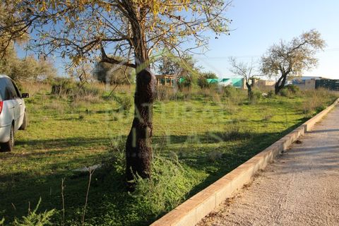 Helårsgrund i Olhao, Faro, Olhao - € 106.500 | Ref: TER_2451_VEND - foto 2