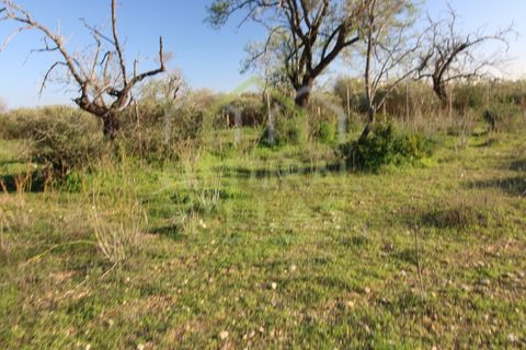 Helårsgrund i Olhao, Faro, Olhao - € 106.500 | Ref: TER_2451_VEND - foto 5