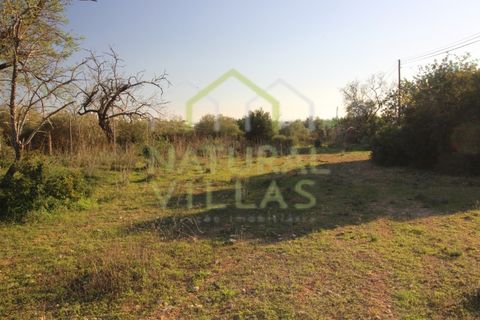 Helårsgrund i Olhao, Faro, Olhao - € 106.500 | Ref: TER_2451_VEND - foto 7