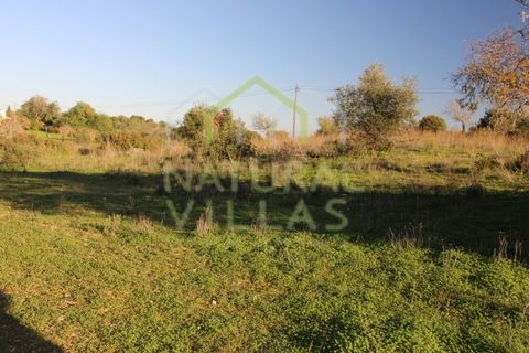 Helårsgrund i Olhao, Faro, Olhao - € 106.500 | Ref: TER_2451_VEND - foto 8