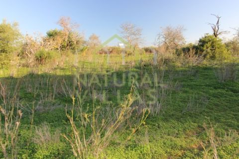 Helårsgrund i Olhao, Faro, Olhao - € 106.500 | Ref: TER_2451_VEND - foto 10