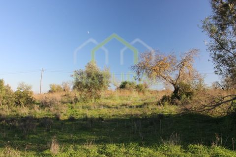 Helårsgrund i Olhao, Faro, Olhao - € 106.500 | Ref: TER_2451_VEND - foto 11