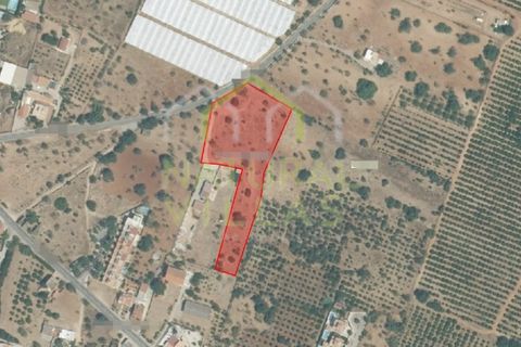 Helårsgrund i Olhao, Faro, Olhao - € 106.500 | Ref: TER_2451_VEND - foto 14