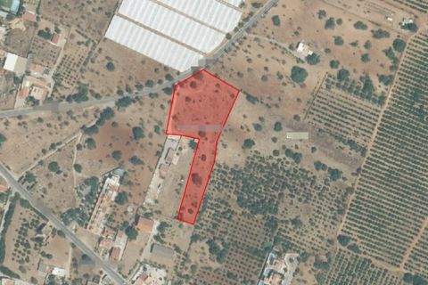 Helårsgrund i Olhao, Faro, Olhao - € 106.500 | Ref: TER_2451_VEND - foto 16