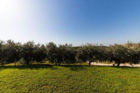 Villa en Baone, Padua, Baone - € 528.000 | Ref: CS 893 - photo 24
