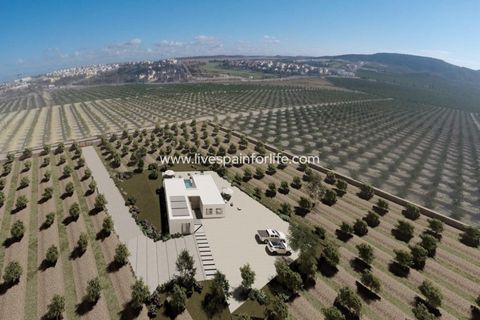 Villa a Algorfa, Alicante, Algorfa - € 995.000 | Ref: 39405 - foto 2