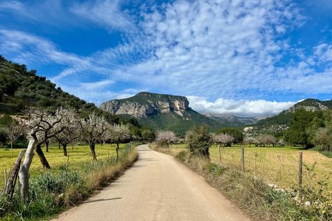 Villa i Lloseta, Mallorca, Lloseta - € 1.400.000 | Ref: 6362 - foto 2