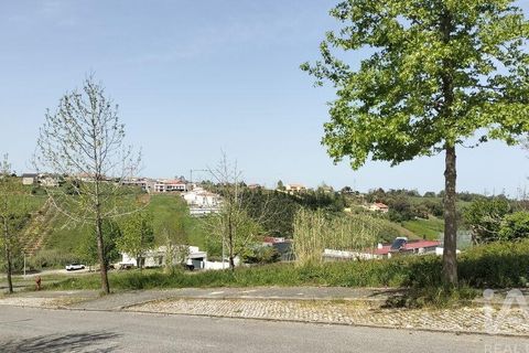 Helårsgrund i Leiria, Leiria, Leiria - € 55.000 | Ref: 906257 - foto 31