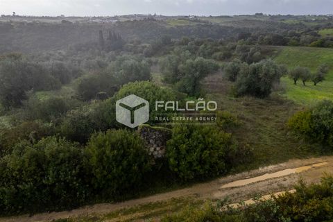 Grond in Santarem, Santarem, Santarem - € 179.000 | Ref: FR1114 - foto 2