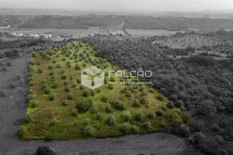 Grond in Santarem, Santarem, Santarem - € 179.000 | Ref: FR1114 - foto 3