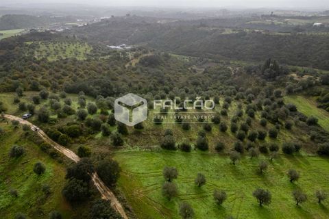 Grond in Santarem, Santarem, Santarem - € 179.000 | Ref: FR1114 - foto 1