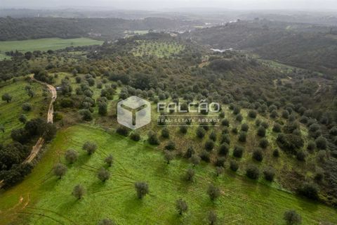 Grond in Santarem, Santarem, Santarem - € 179.000 | Ref: FR1114 - foto 4